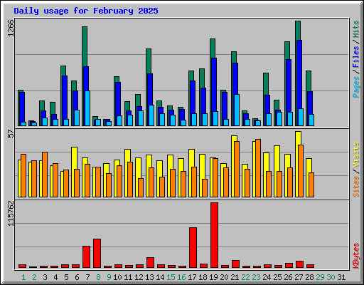 Daily usage for February 2025