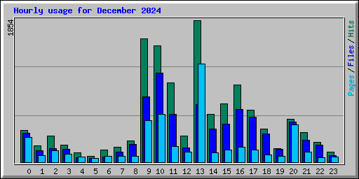 Hourly usage for December 2024