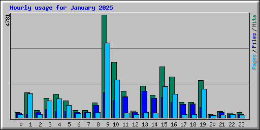 Hourly usage for January 2025